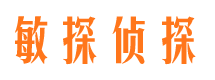 迭部侦探